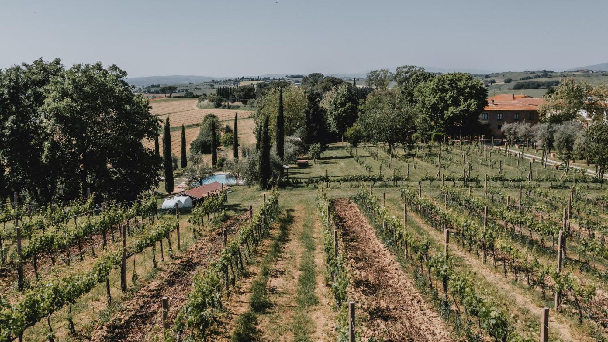 Podere Biagio Valiano Zewnętrze zdjęcie